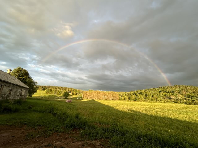 Rainbow on feild